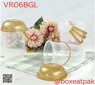 P111VR06BGL