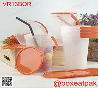 P111VR13BOR