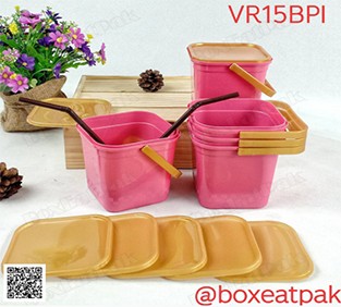 P111VR15BPI