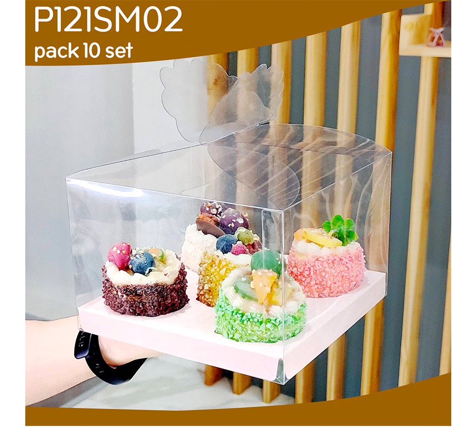 P121SM02