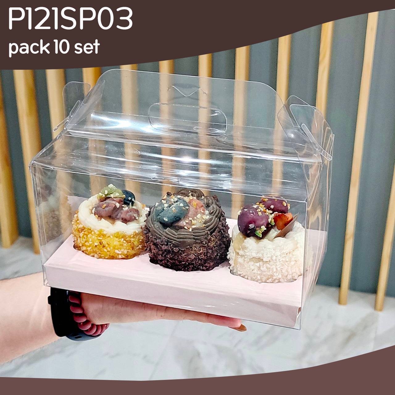 P121SP03