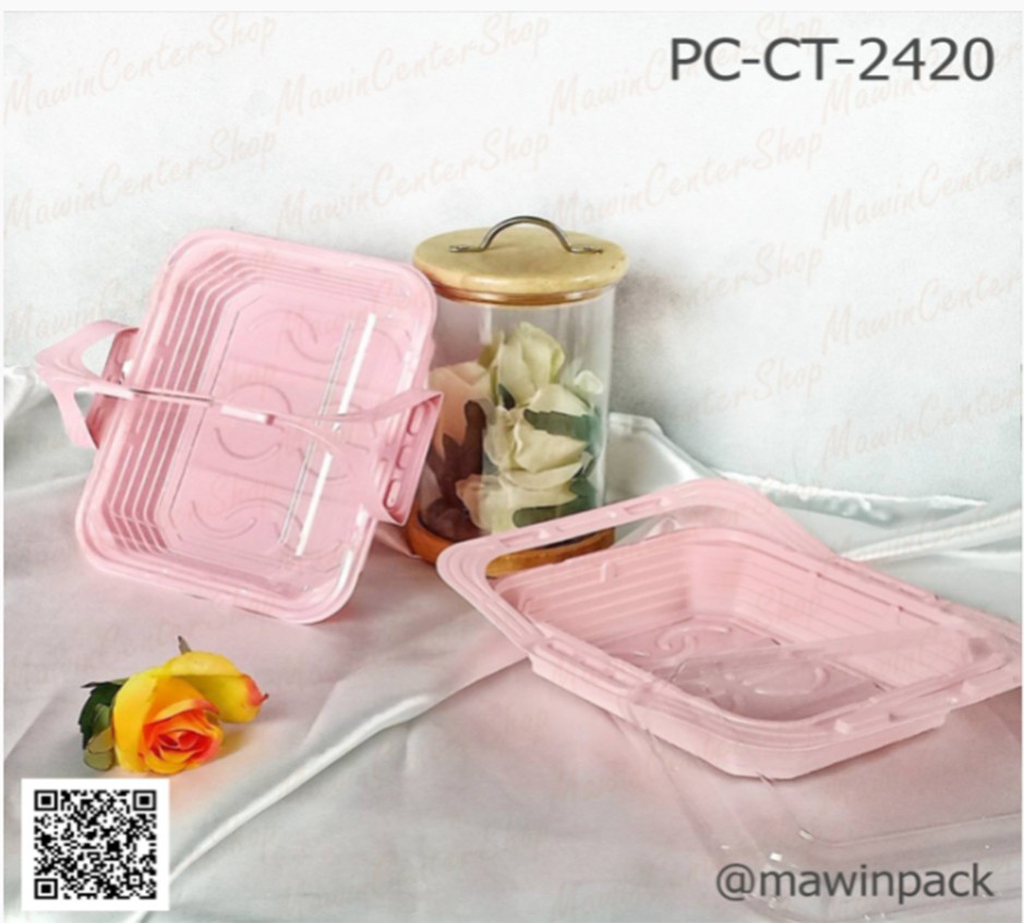 P161CKW01
