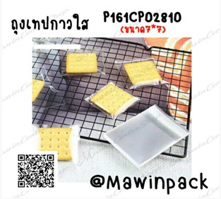 P161CP02810