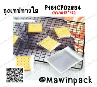 P161CP02834