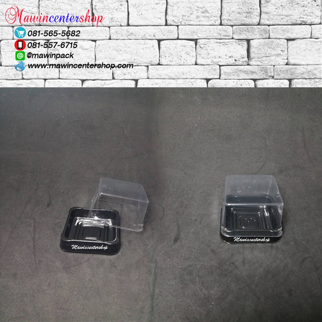 P161CP100767-2