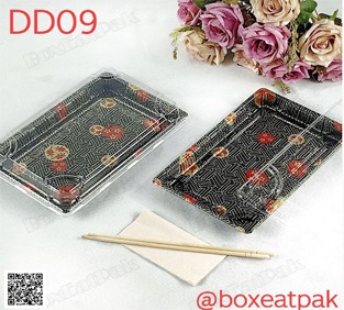 P161DD09