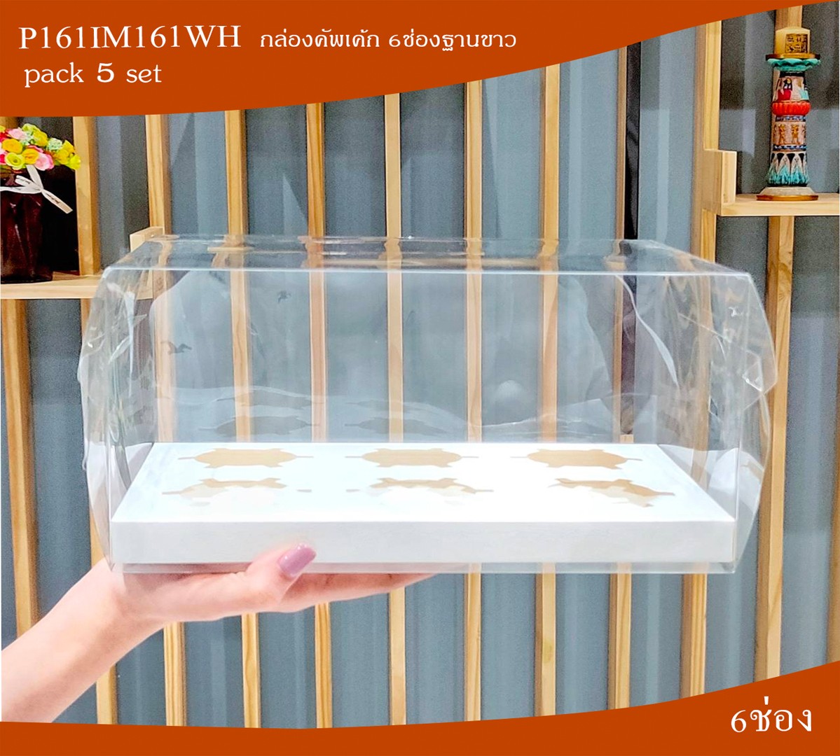 P161IM161WHกรอบ