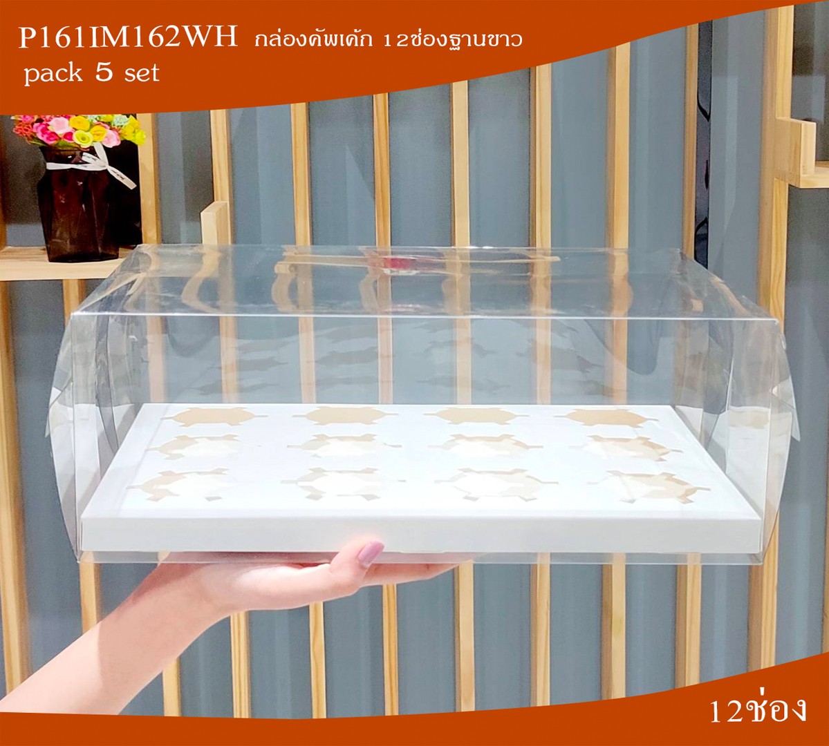 P161IM162WHกรอบ
