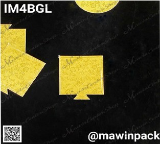 P161IM4BGL