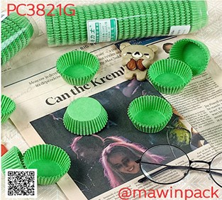 P161PC3821G