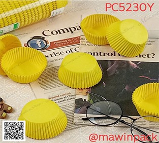 P161PC5230Y