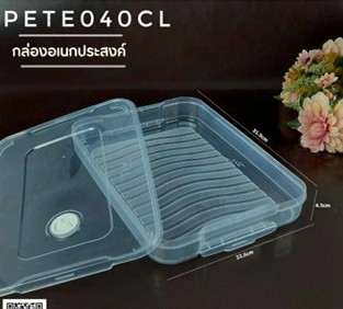 P161PETE040CL