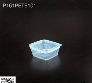 P161PETE101