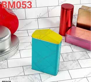 P181BM053