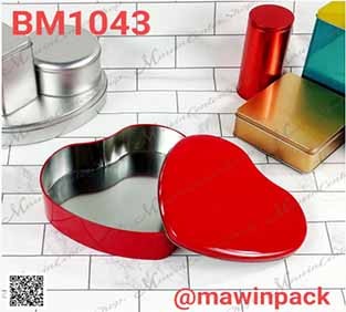 P181BM1043