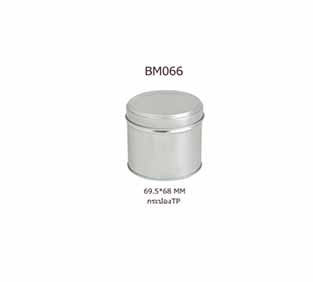 P181BM1066