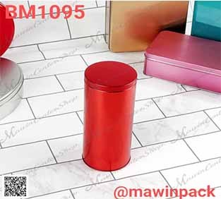 P181BM1095