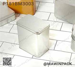 P181BM3003