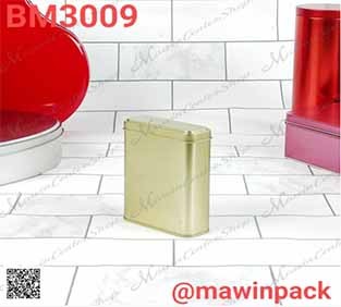 P181BM3009