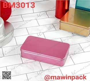 P181BM3013