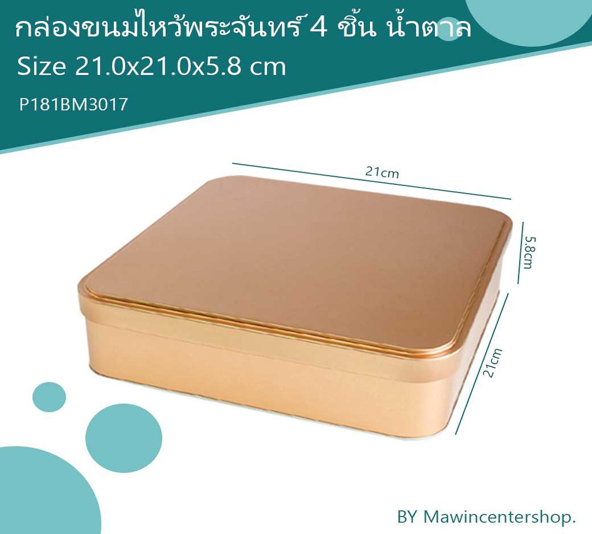 P181BM3017-1