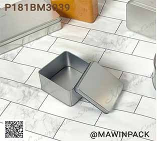 P181BM3039