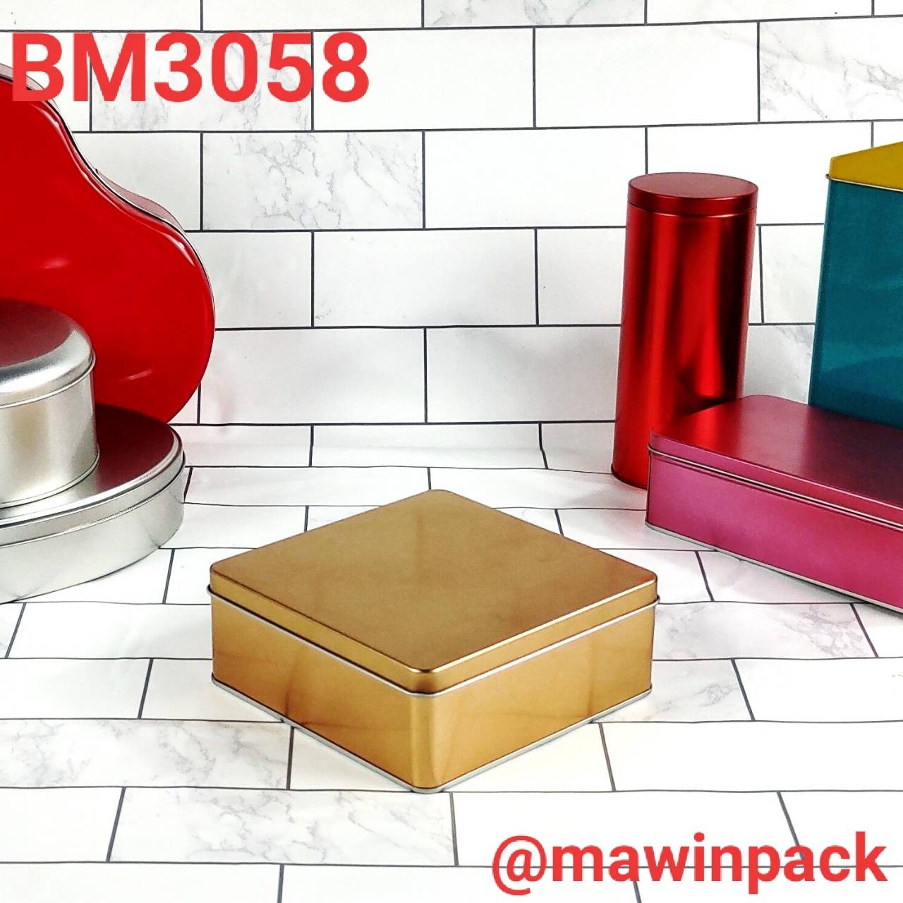 P181BM3058