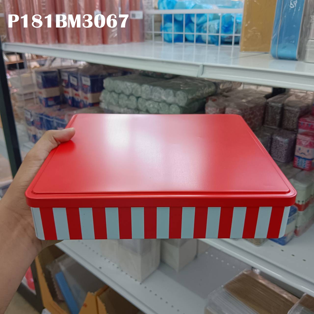 P181BM3067