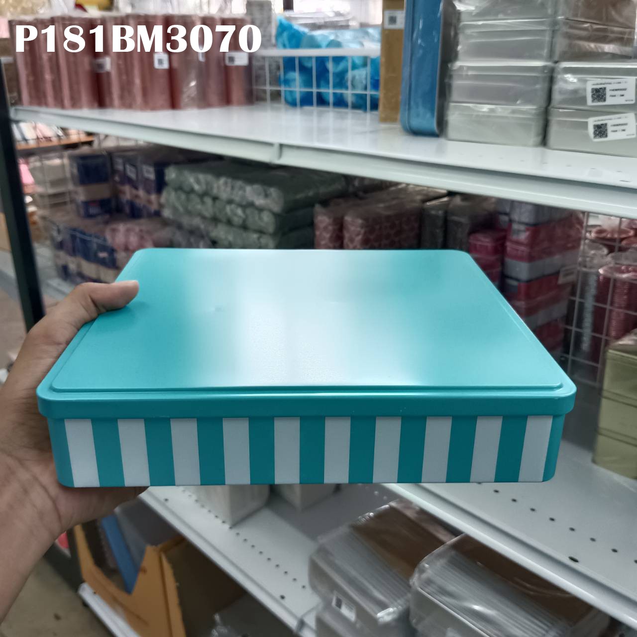 P181BM3070