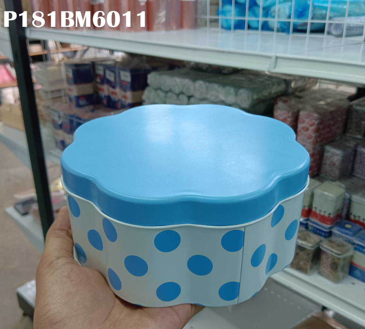 P181BM6011-1