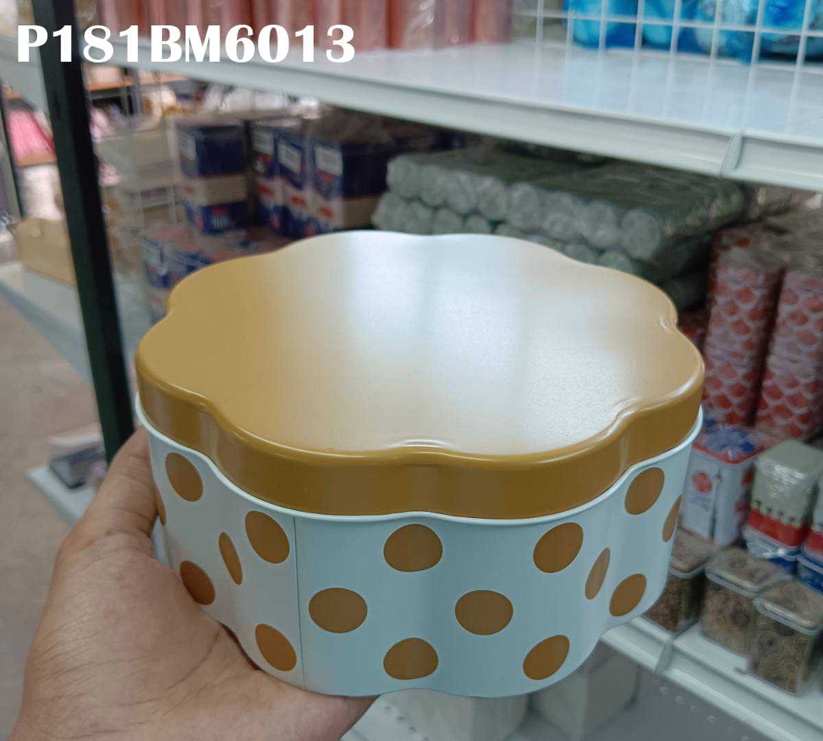 P181BM6013-1