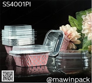P181SS4001PI