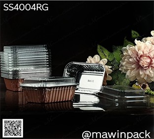 P181SS4004RG