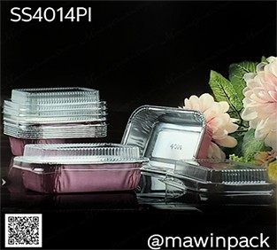 P181SS4014PI
