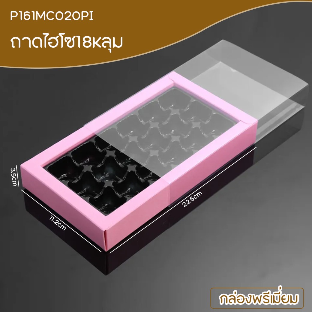SP-P161PETE036PI-2
