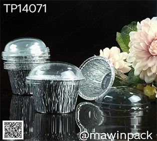 TP14071