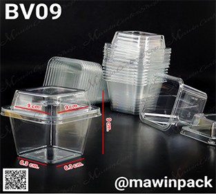 bv09-1
