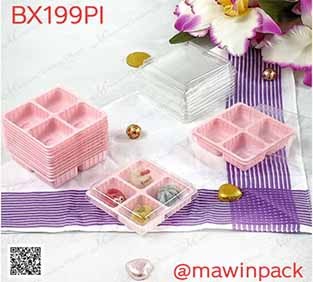 bx199pi