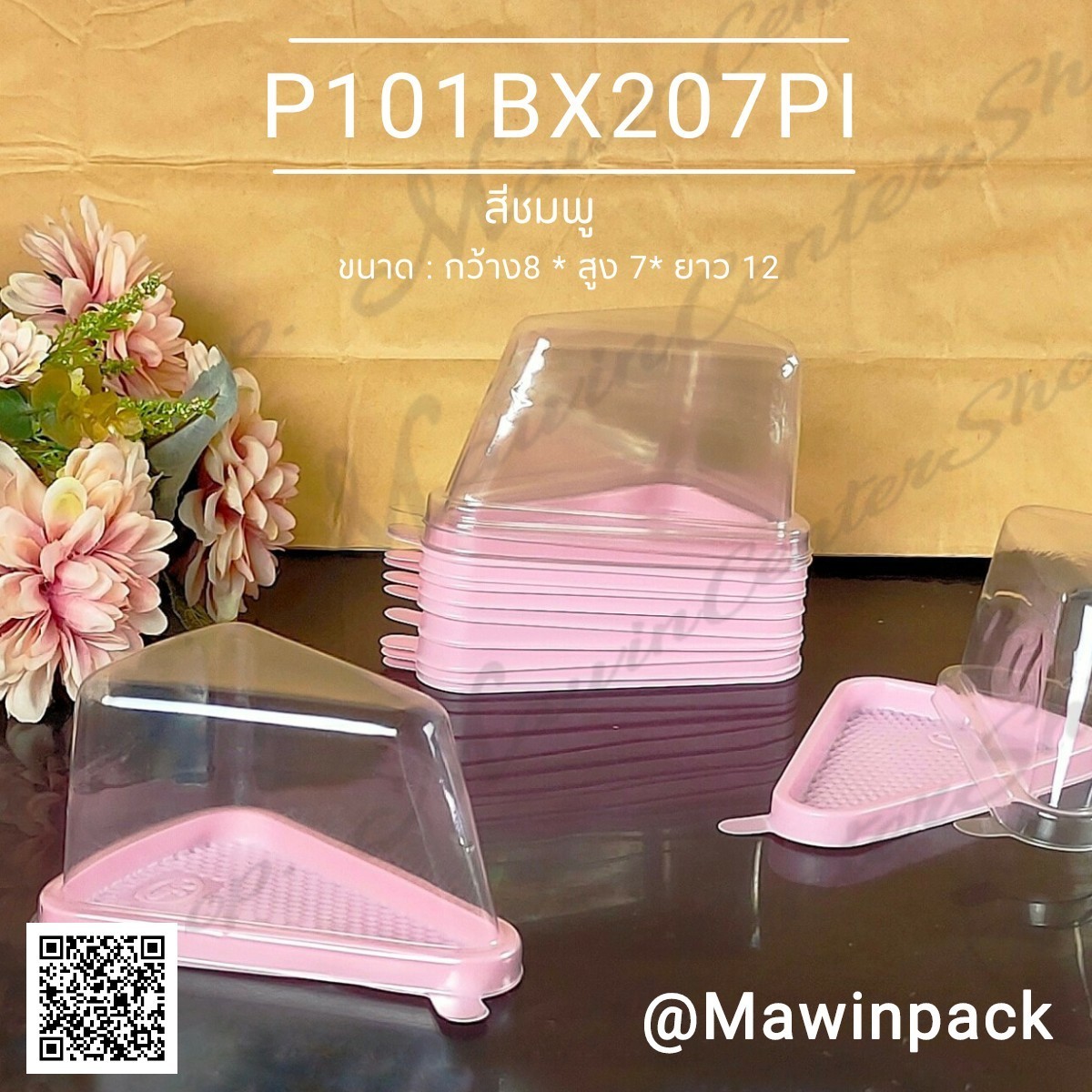 bx207pi-2