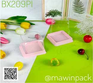 bx209pi