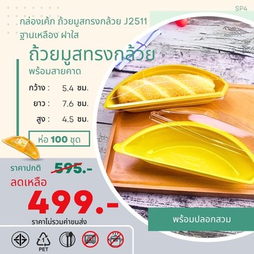 P161IM96-100