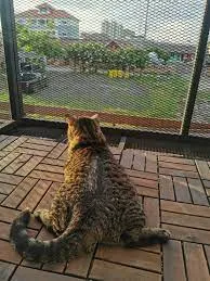 665