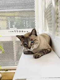 615