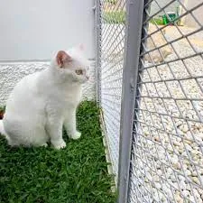 614