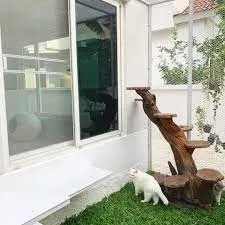 705