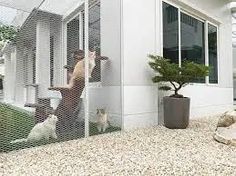 567