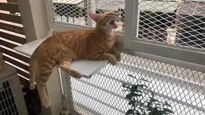 569