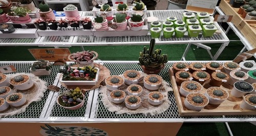 ���ç�աXS-42