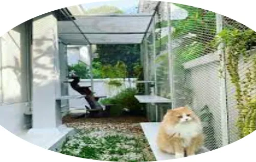 360