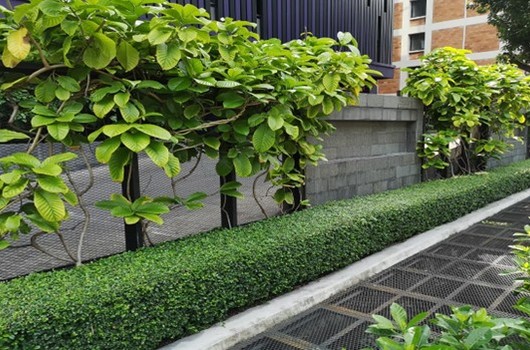 ���ç�աXS-42